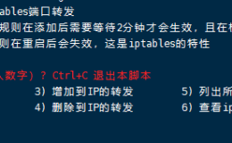 基于 iptables 转发教程(TCP+UDP)