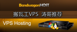 美国vps 搬瓦工 1cpu/1G内存/20GSSD/1000GB流量/cn2/KVM/$49.99美元月