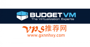 美国vps BudgetVM 2cpu/2g/150g ssd/100mbps/4TB/ddos防护 $9.99/月